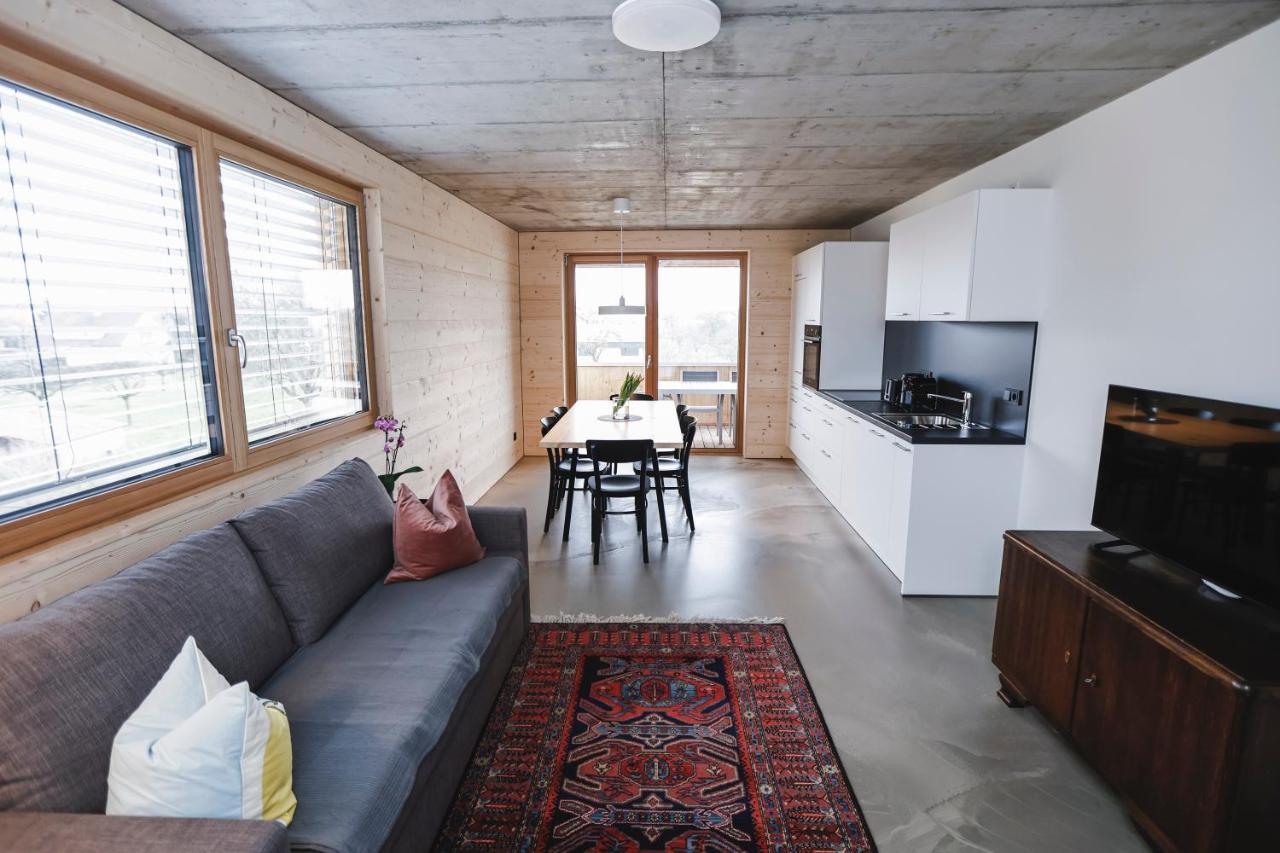 Boutique Apartments Lustenau Nachhaltige Kuehlung Ueber Erdsonde Und Fussbodenkuehlung المظهر الخارجي الصورة